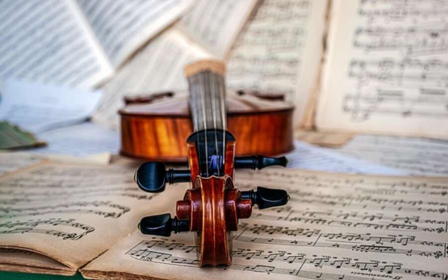 Violine 4