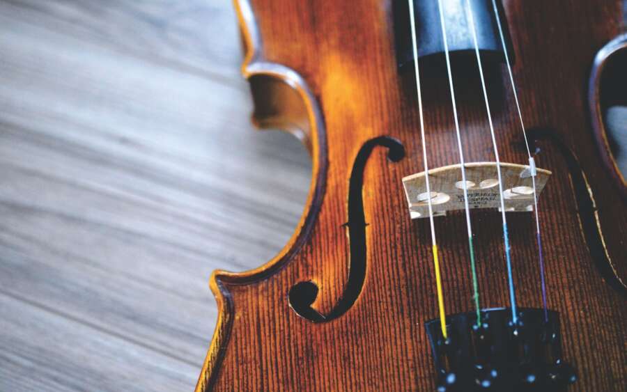 Violine
